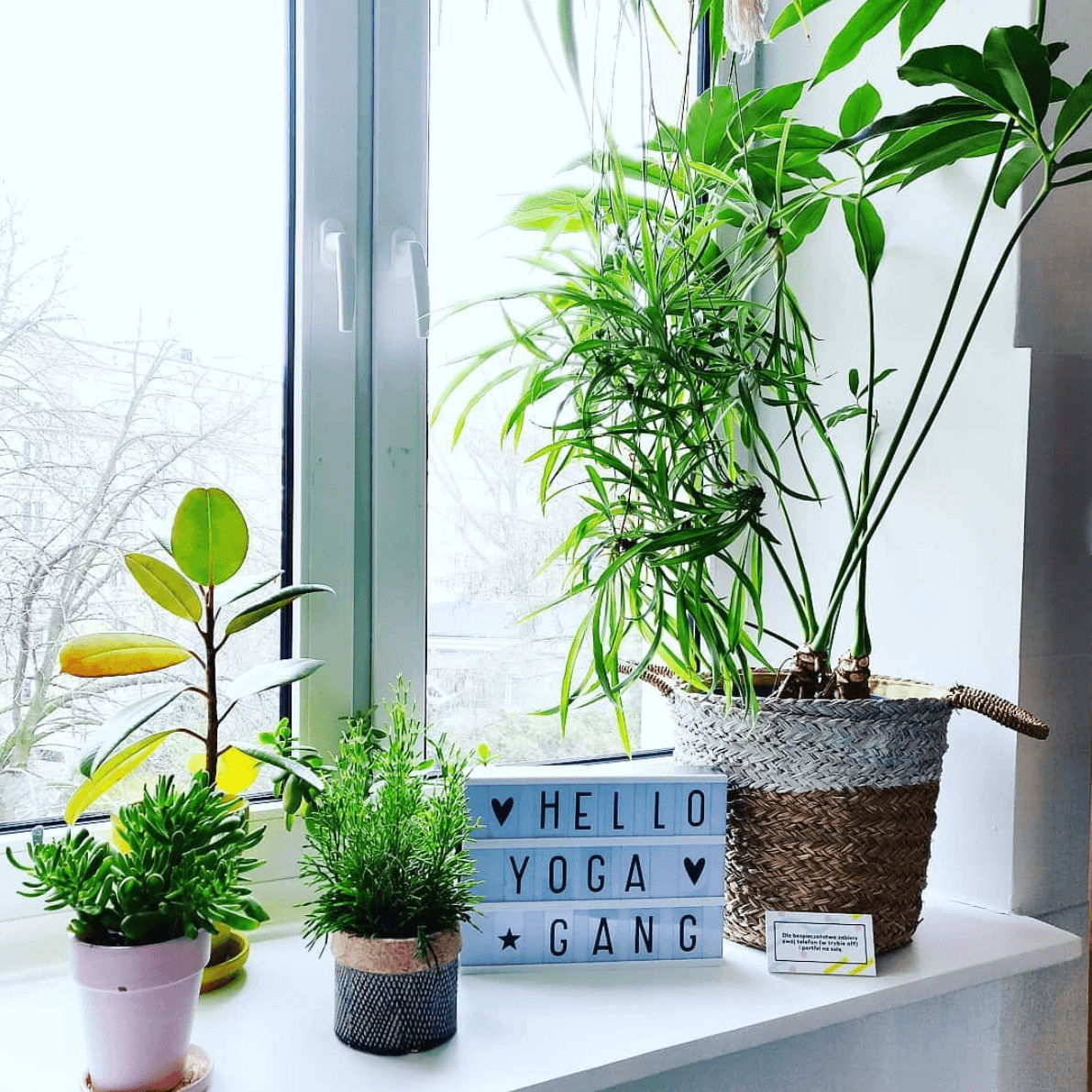 wnętrze stanu skupienia